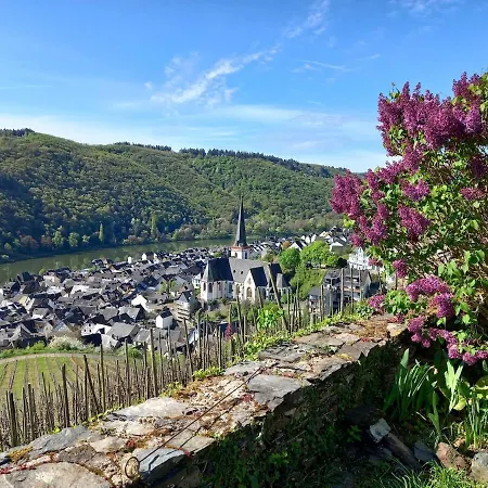 Mosel Panorama Auf Burg Coraidelstein * Klotten